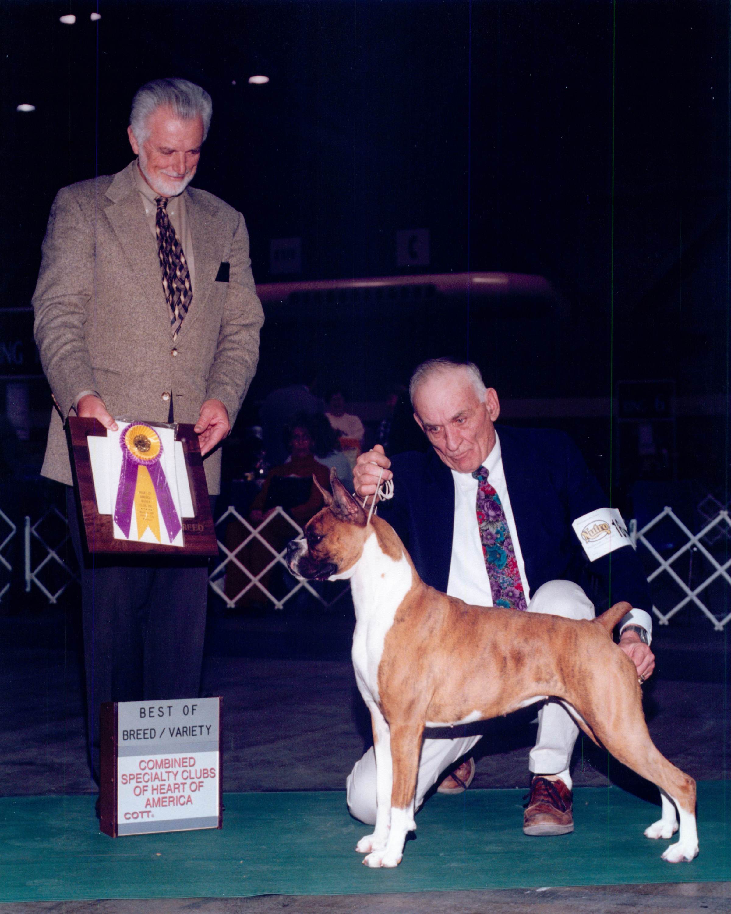 Best of Breed @ 2001 Specialty Show #1