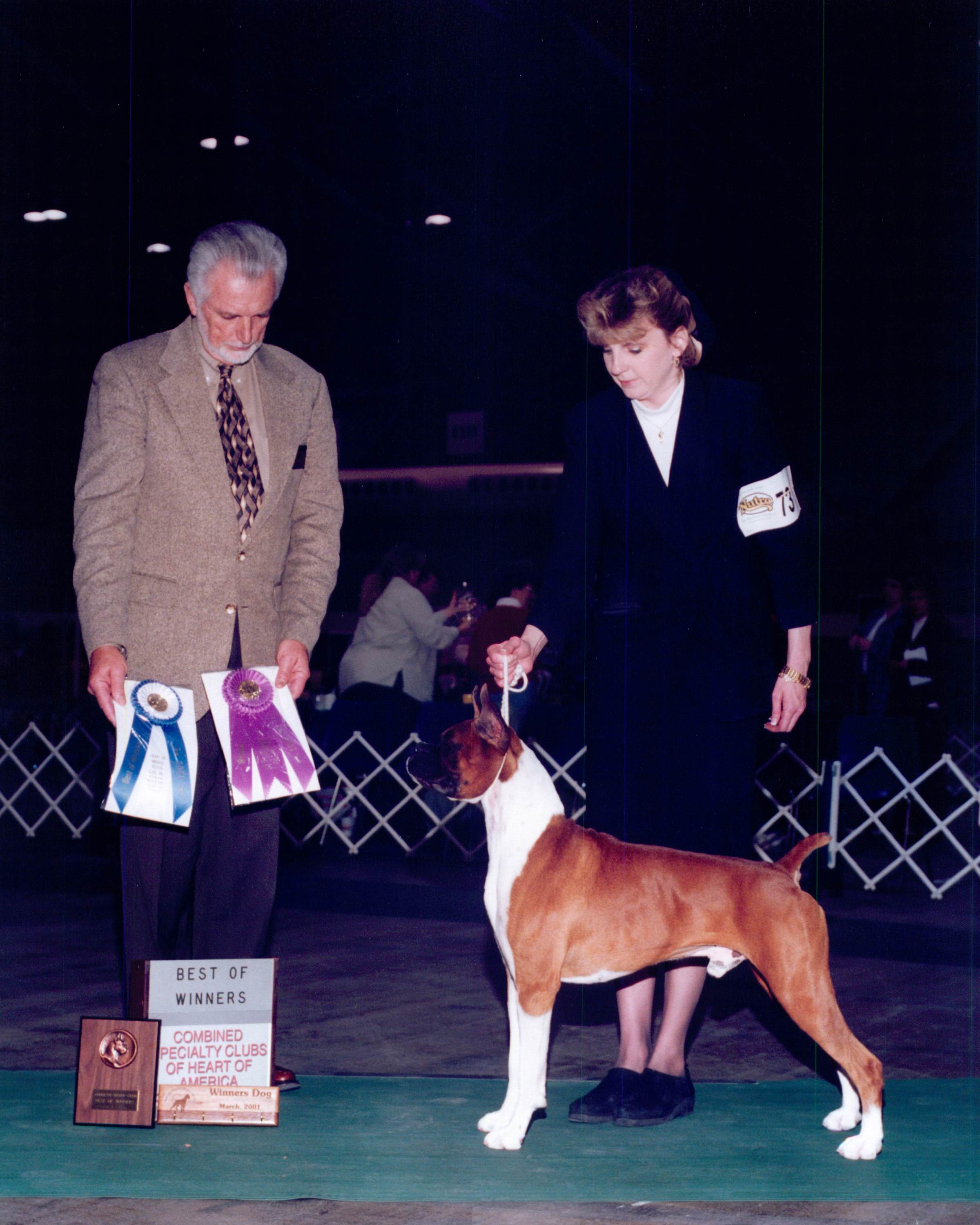 Best of Winners & Winners Dog @ 2001 Specialty Show #1