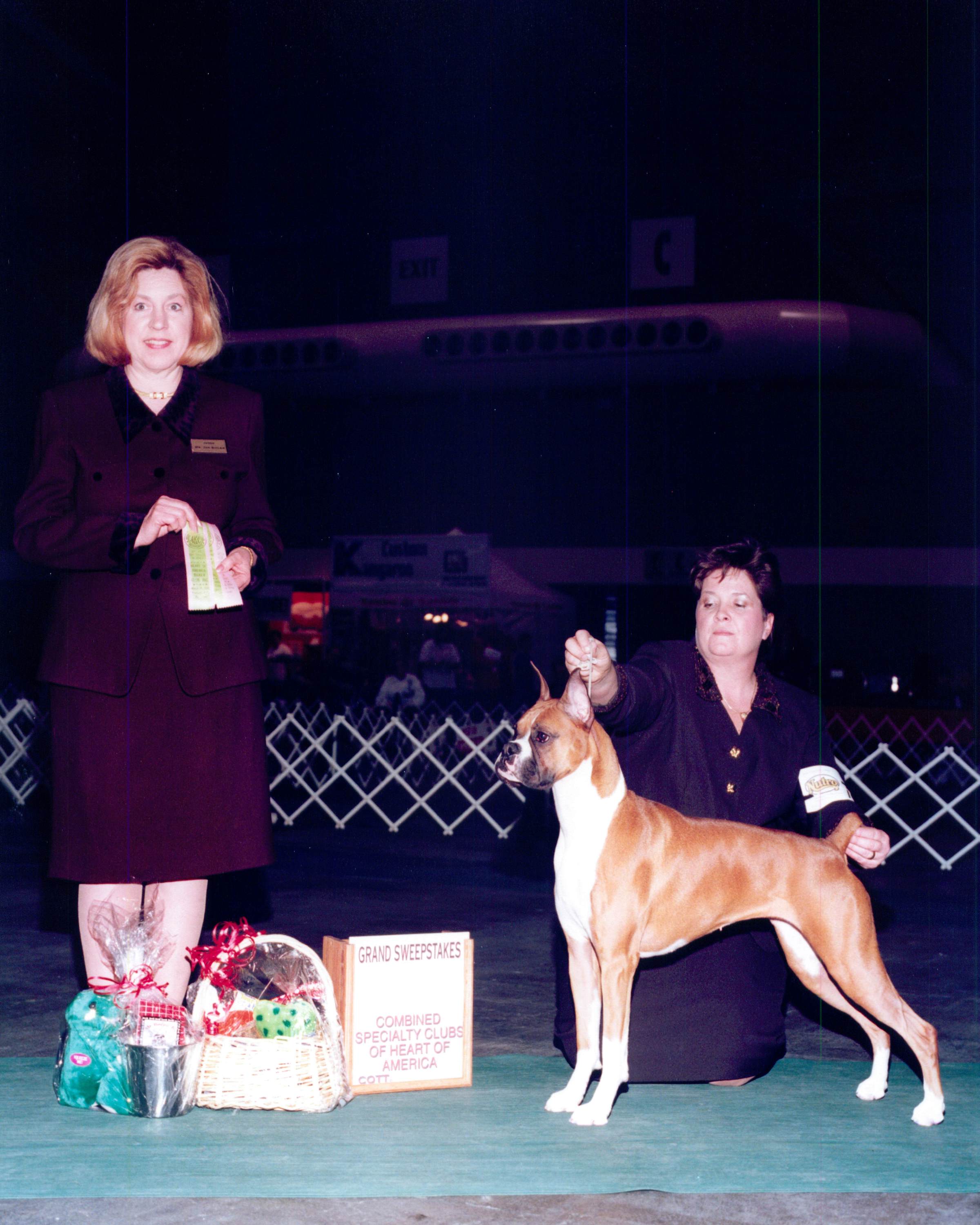 Grand Sweepstakes, Best Junior @ 2001 Specialty Show #1