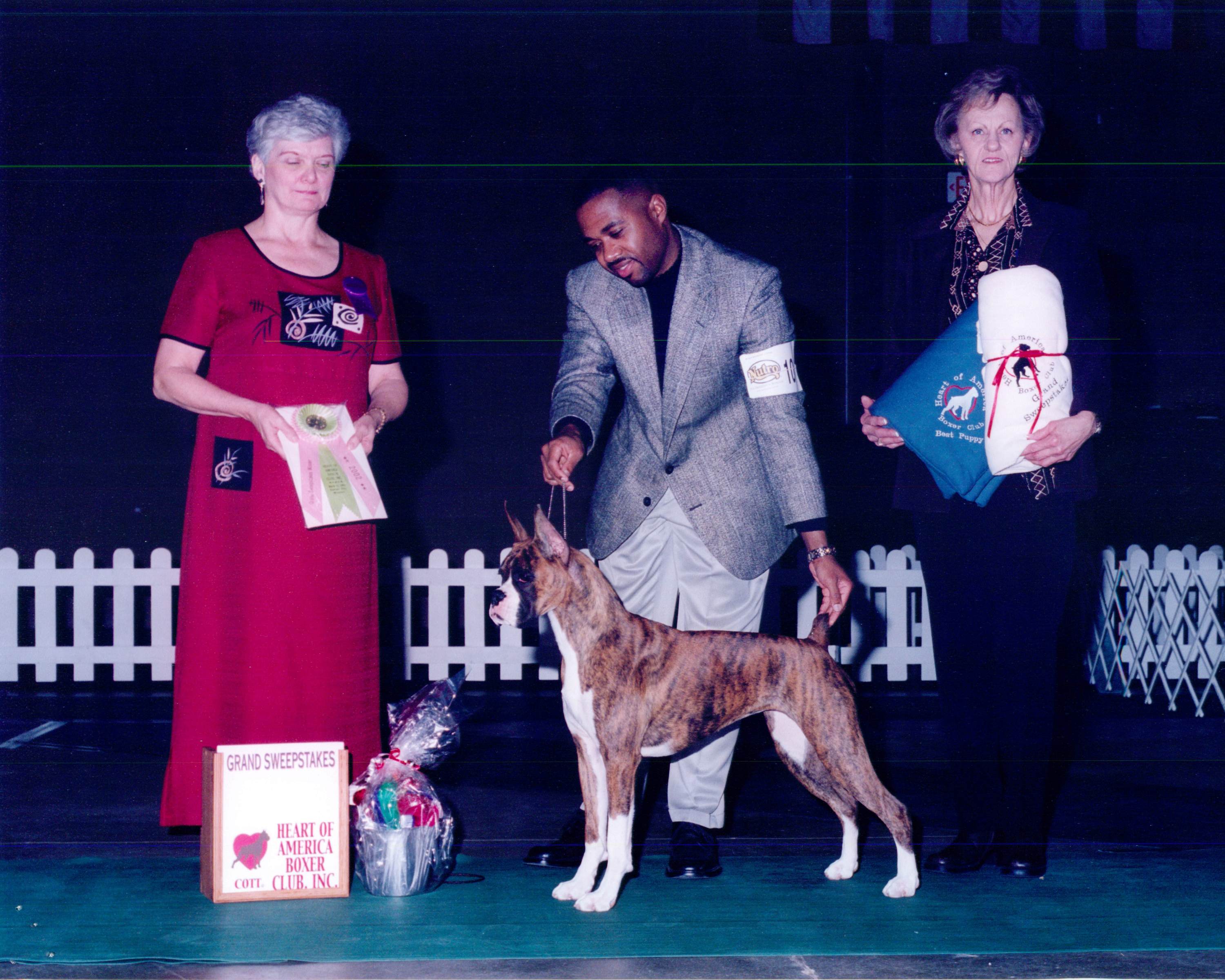 Grand Sweepstakes, Best Puppy @ 2002 Specialty Show #1