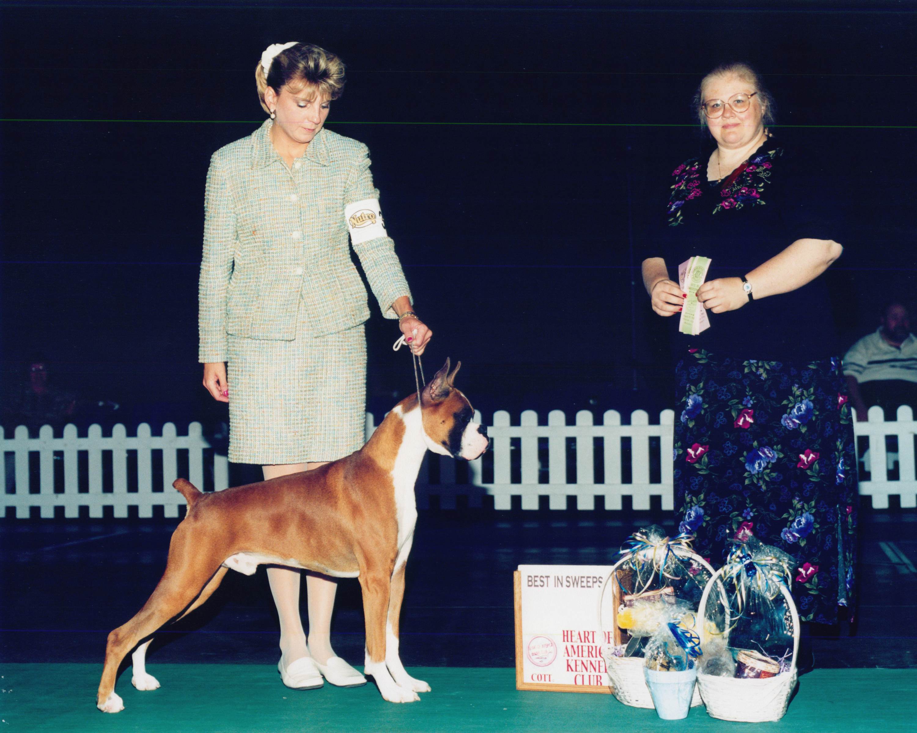 Grand Sweepstakes, Best Junior @ 2002 Specialty Show #2