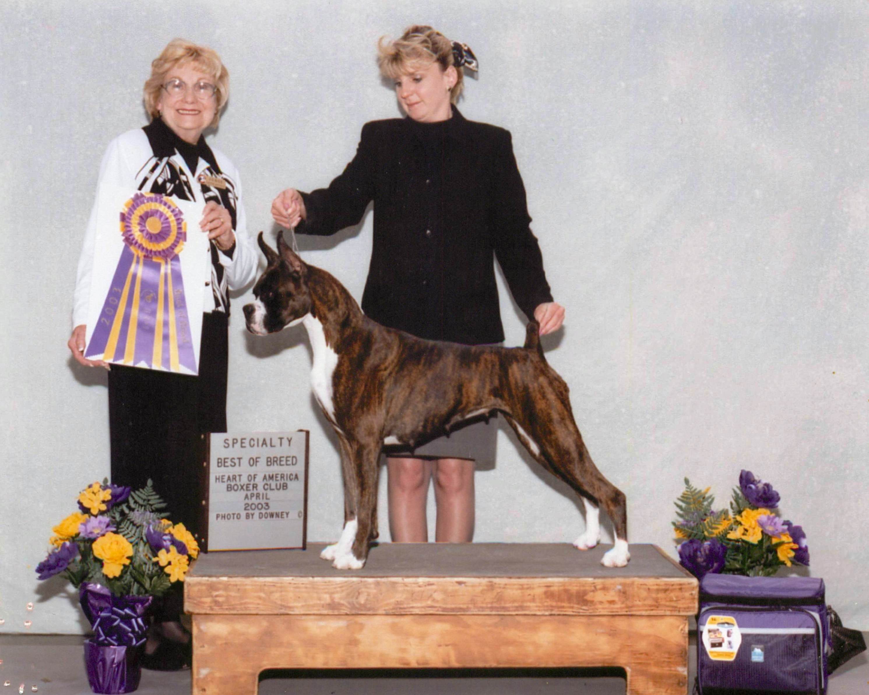 Best of Breed @ 2003 Specialty Show #1