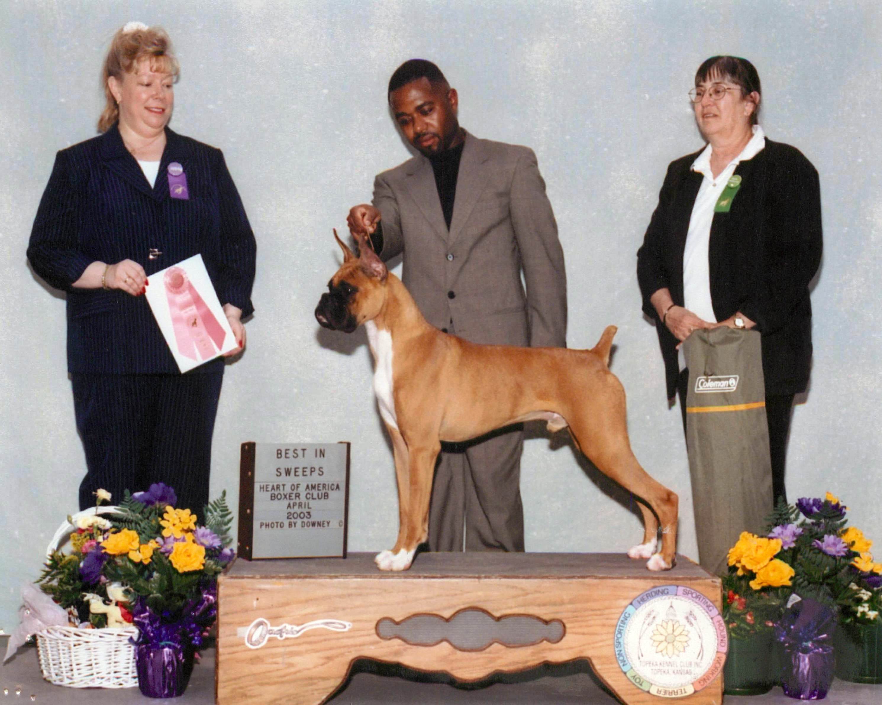 Grand Sweepstakes, Best Puppy @ 2003 Specialty Show #1