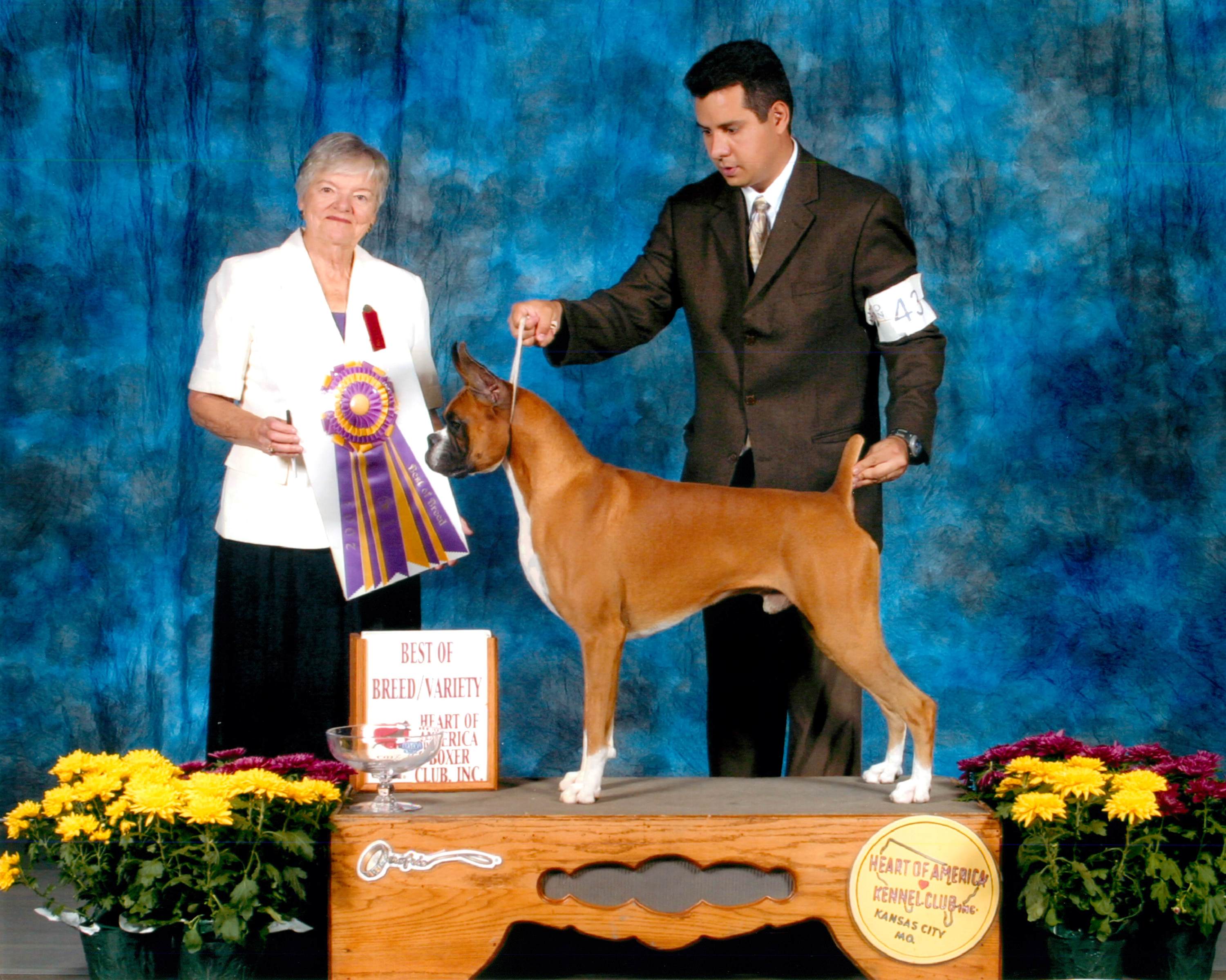 Best of Breed @ 2003 Specialty Show #2