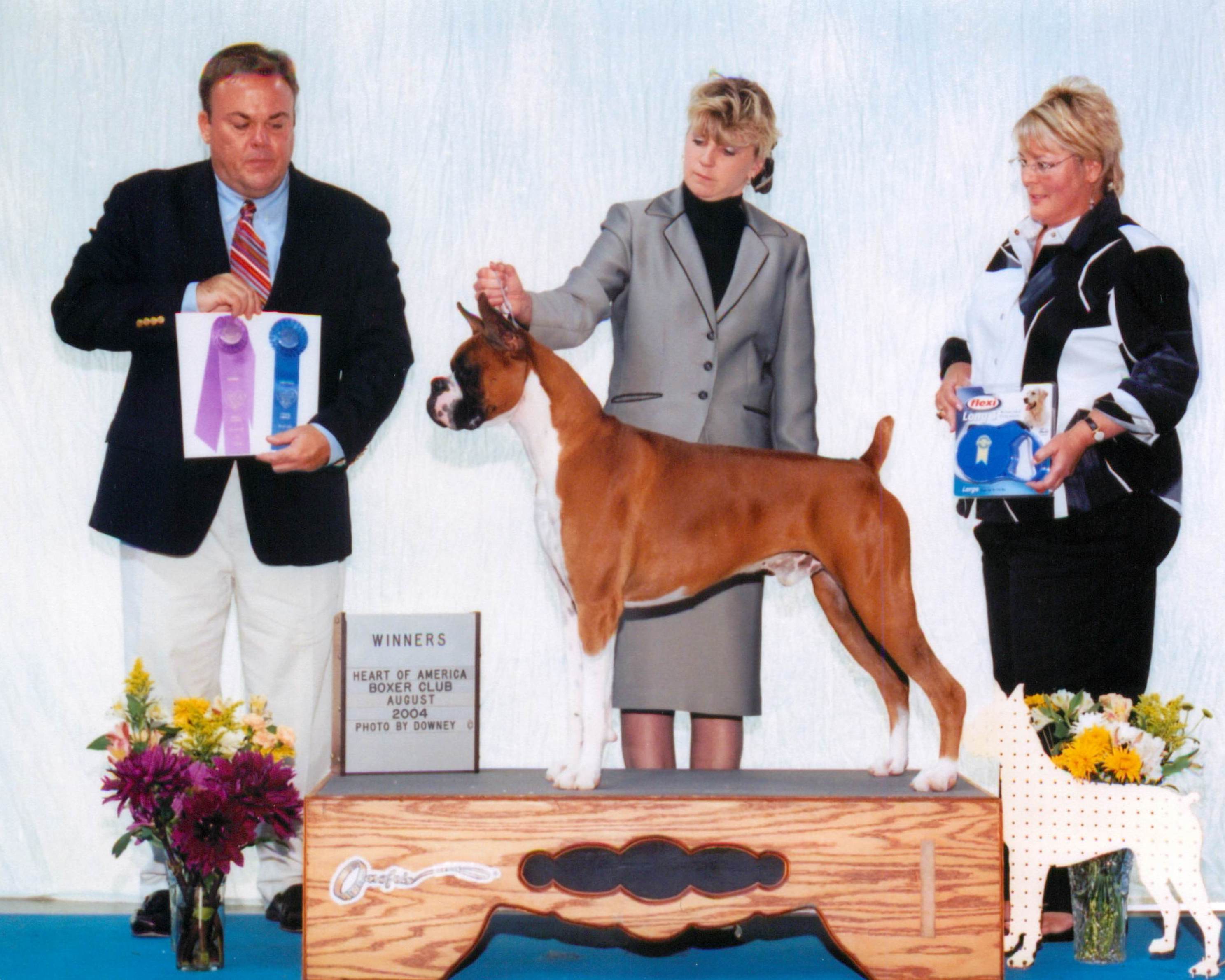 Winners Dog @ 2004 Specialty Show #1