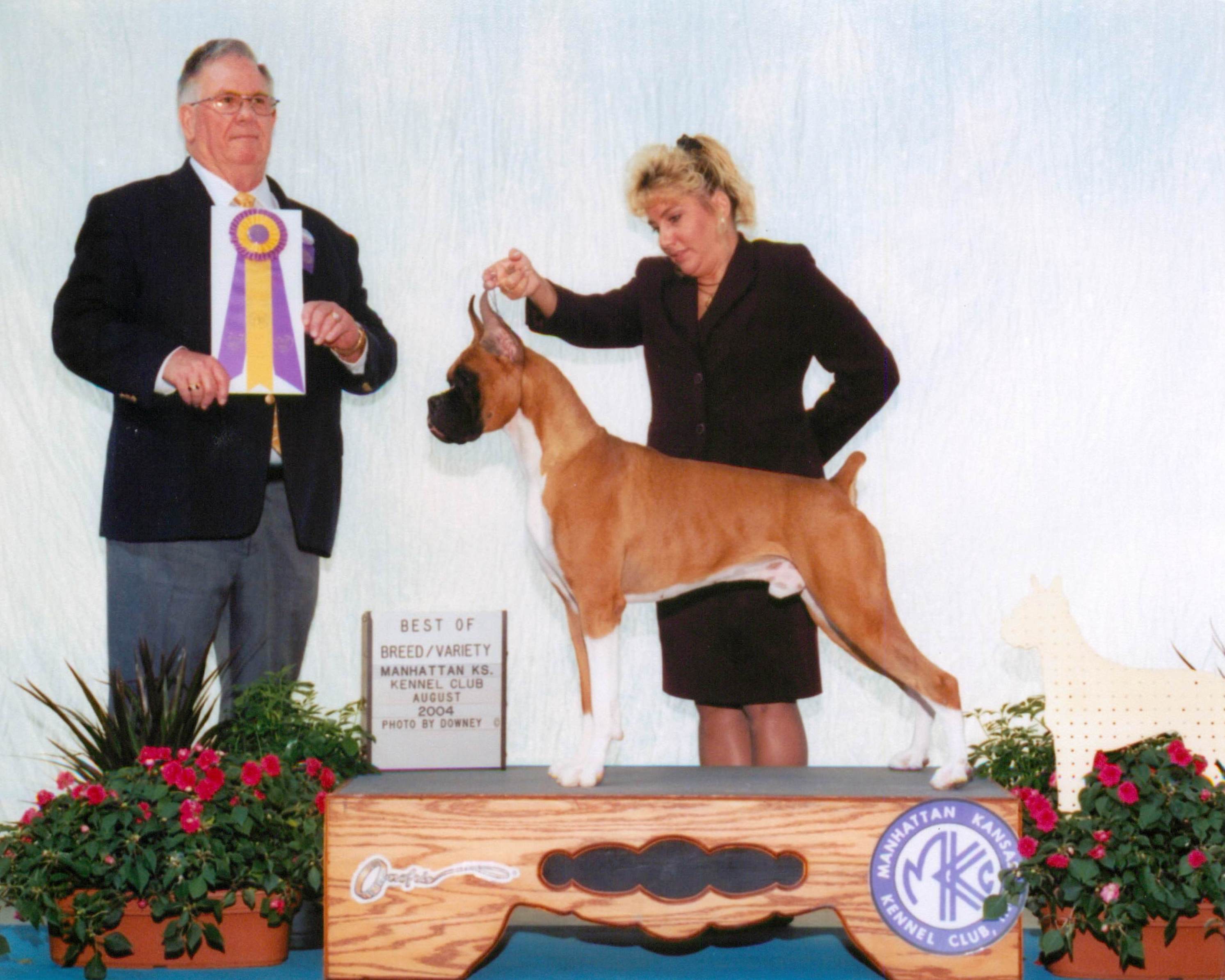 Best of Breed @ 2004 Specialty Show #2