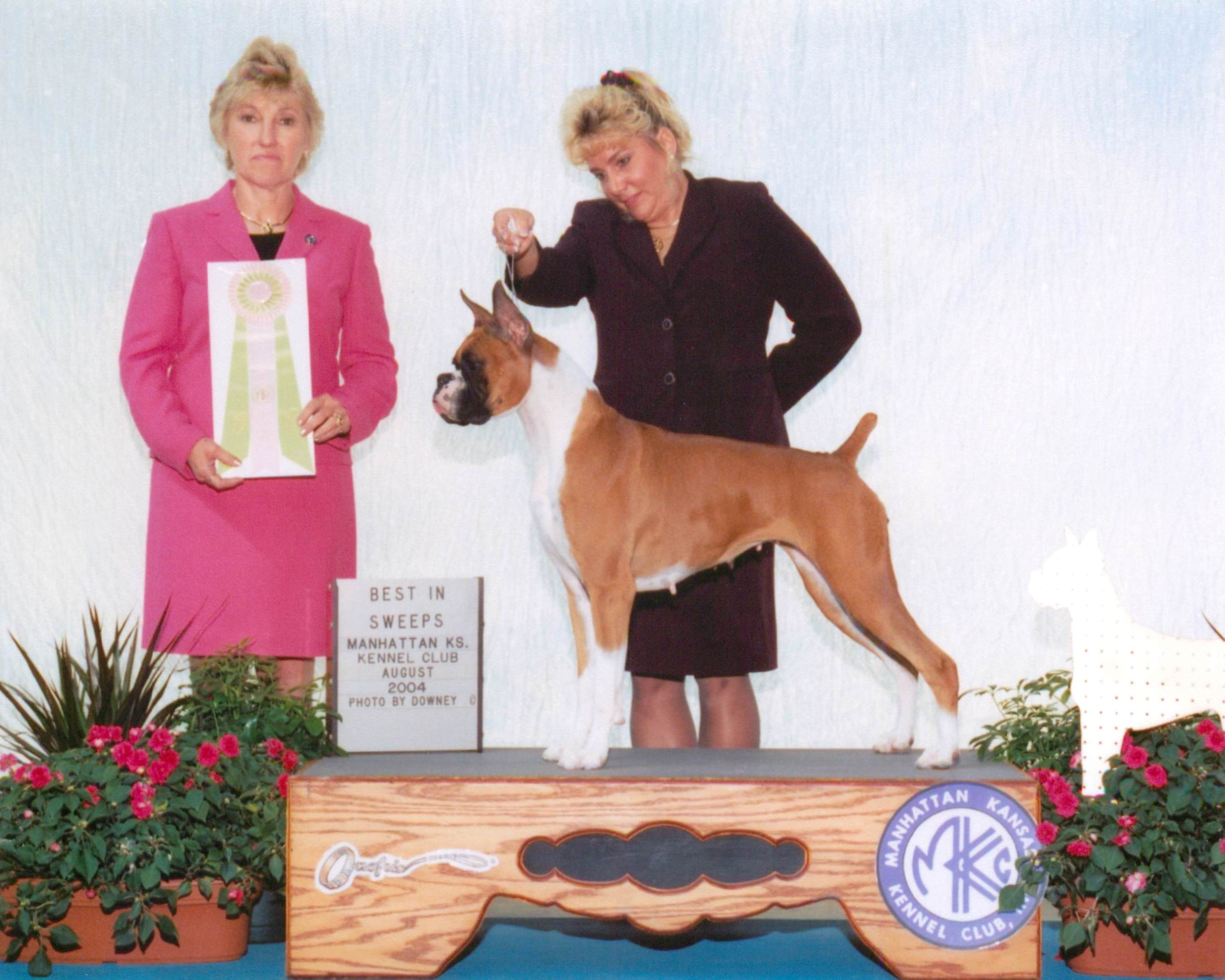 Grand Sweepstakes & Best Junior @ 2004 Specialty Show #2