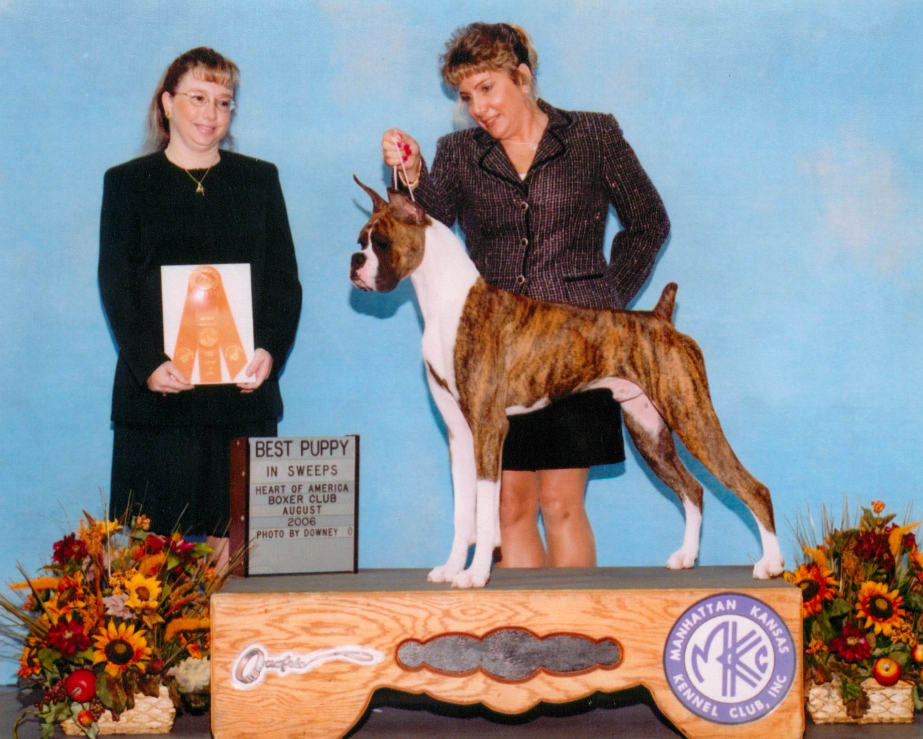 Best Puppy @ 2006 Specialty Show #2