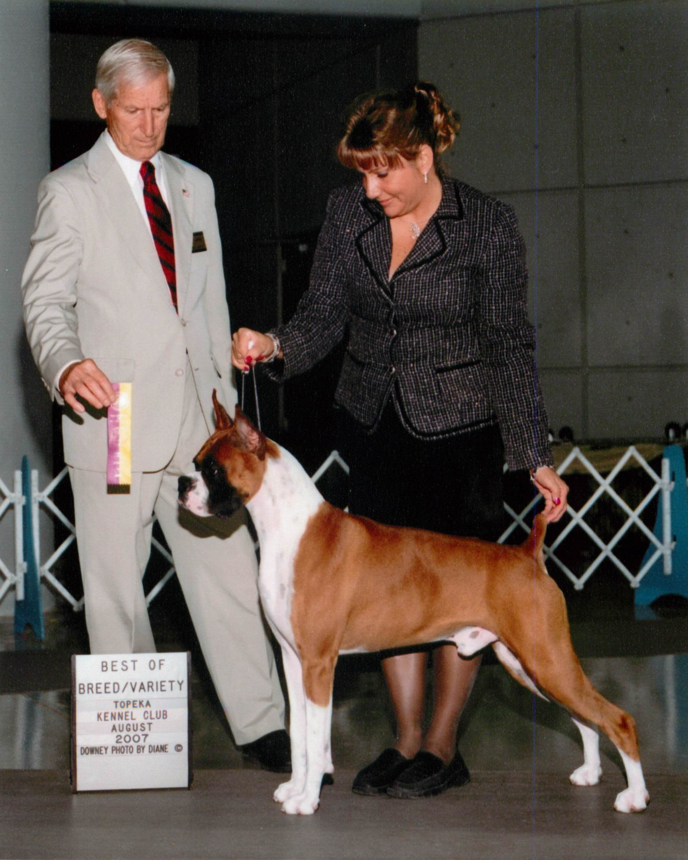 Best of Breed @ 2007 Specialty Show #2