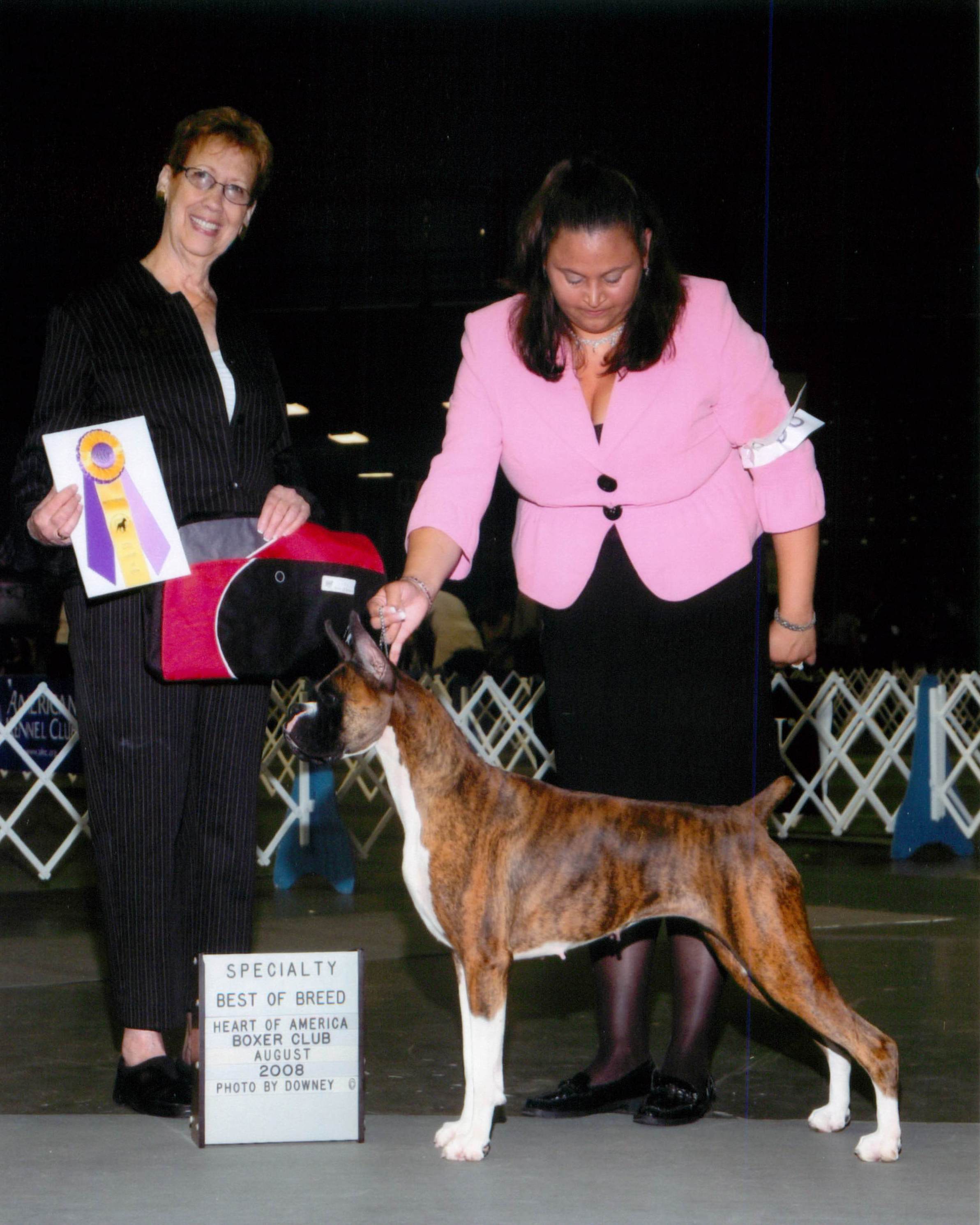 Best of Breed @ 2008 Specialty Show #1