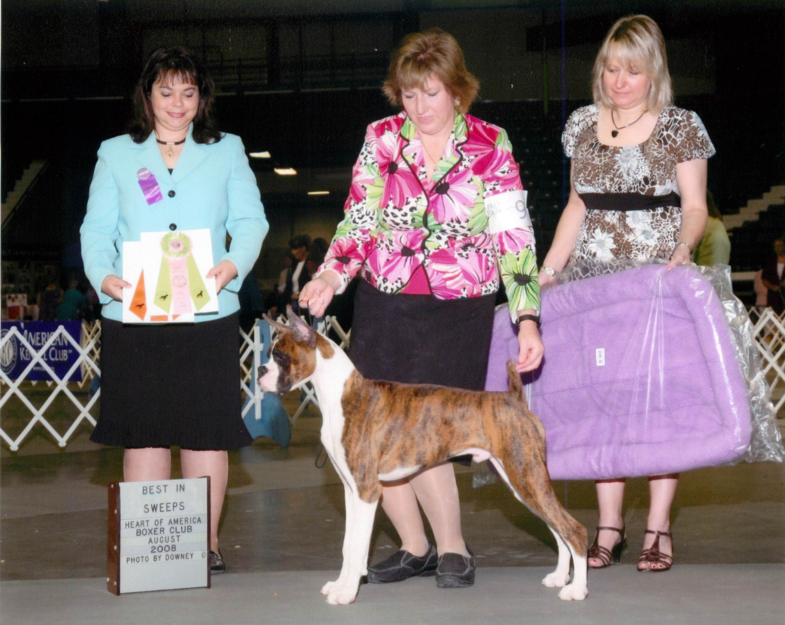 Grand Sweepstakes & Best Puppy @ 2008 Specialty Show #1