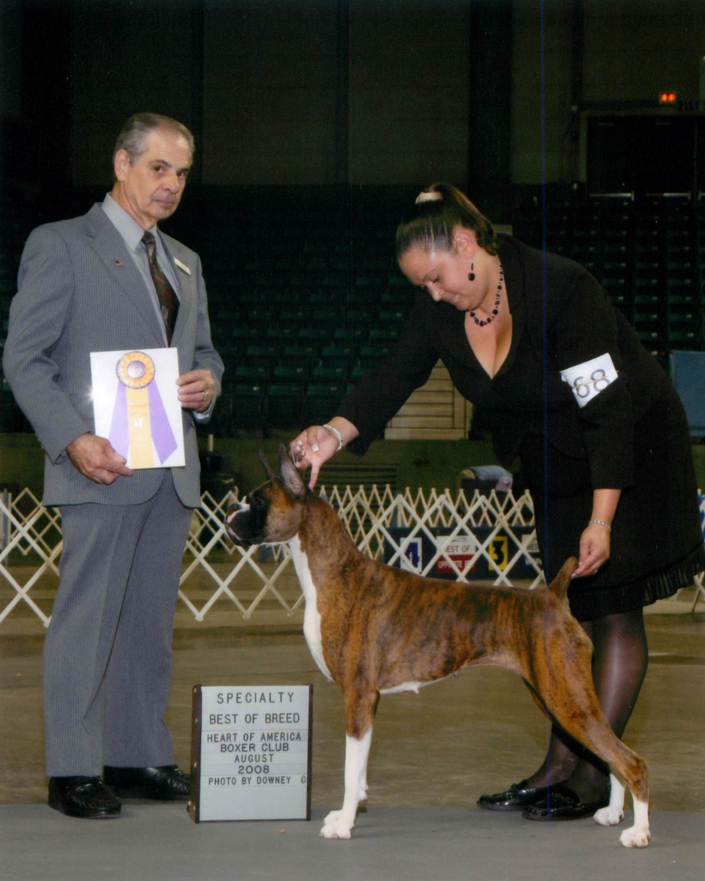 Best of Breed @ 2008 Specialty Show #2