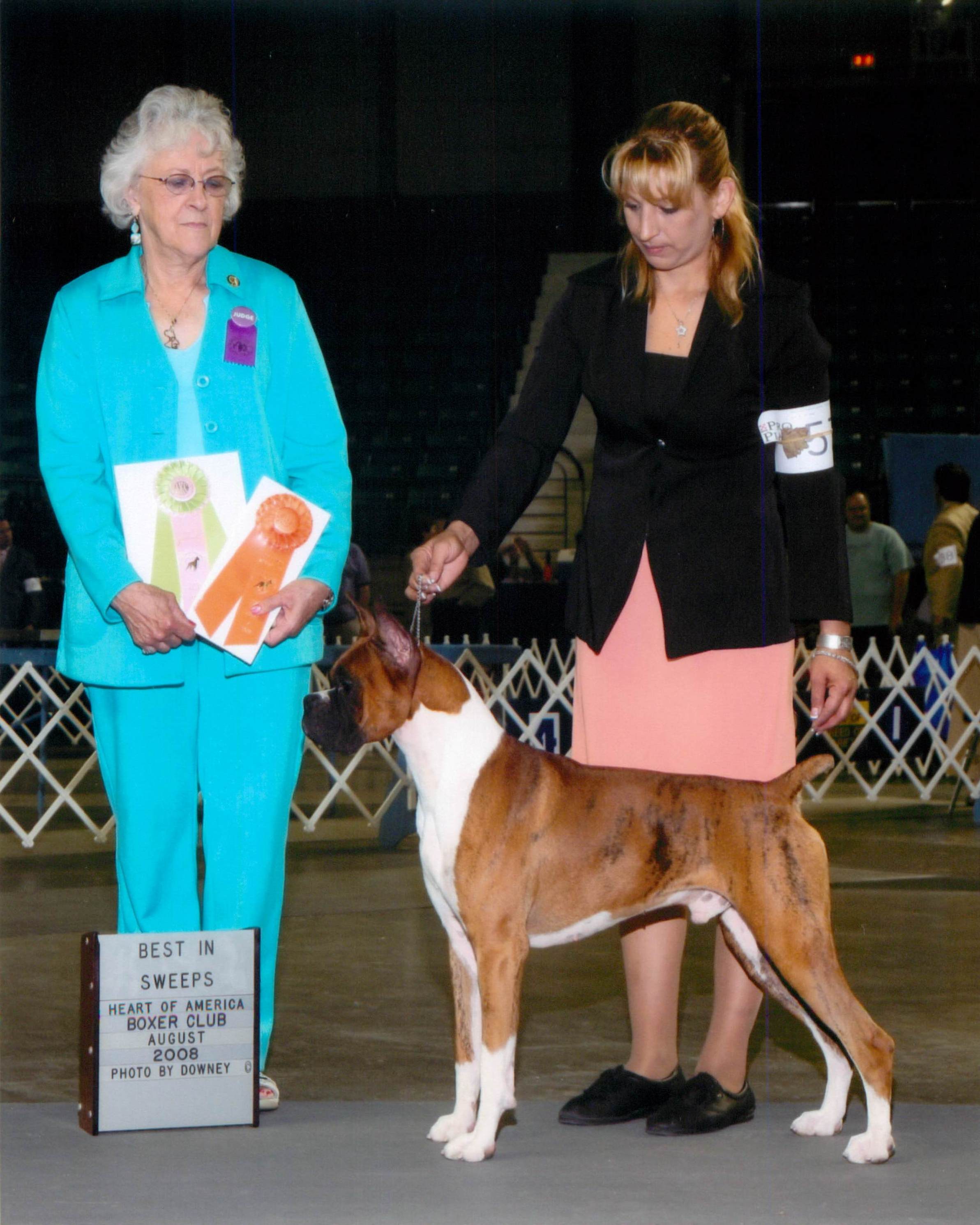 Grand Sweepstakes, Best Junior @ 2008 Specialty Show #2