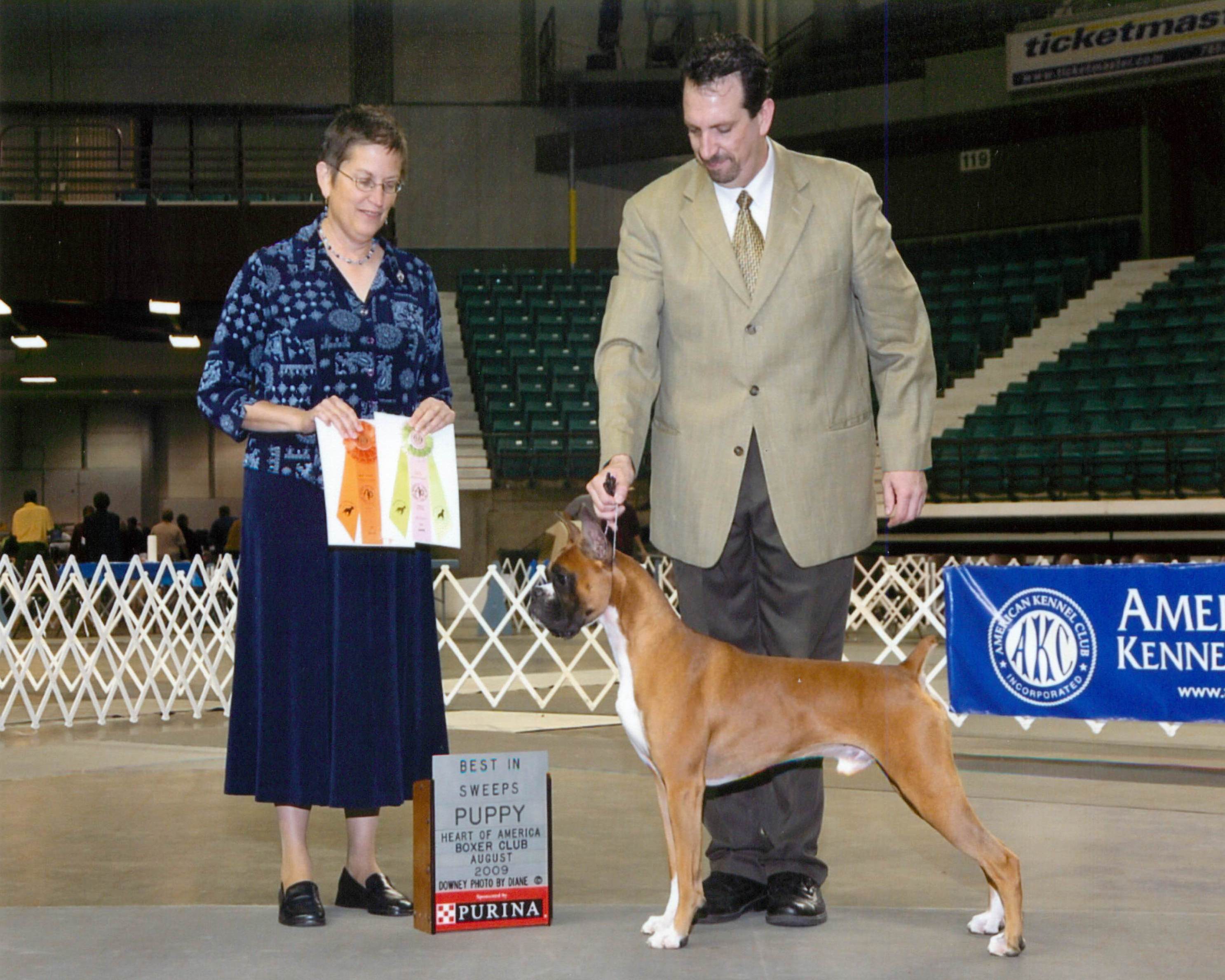 Grand Sweepstakes, Best Puppy @ 2009 Specialty Show #1
