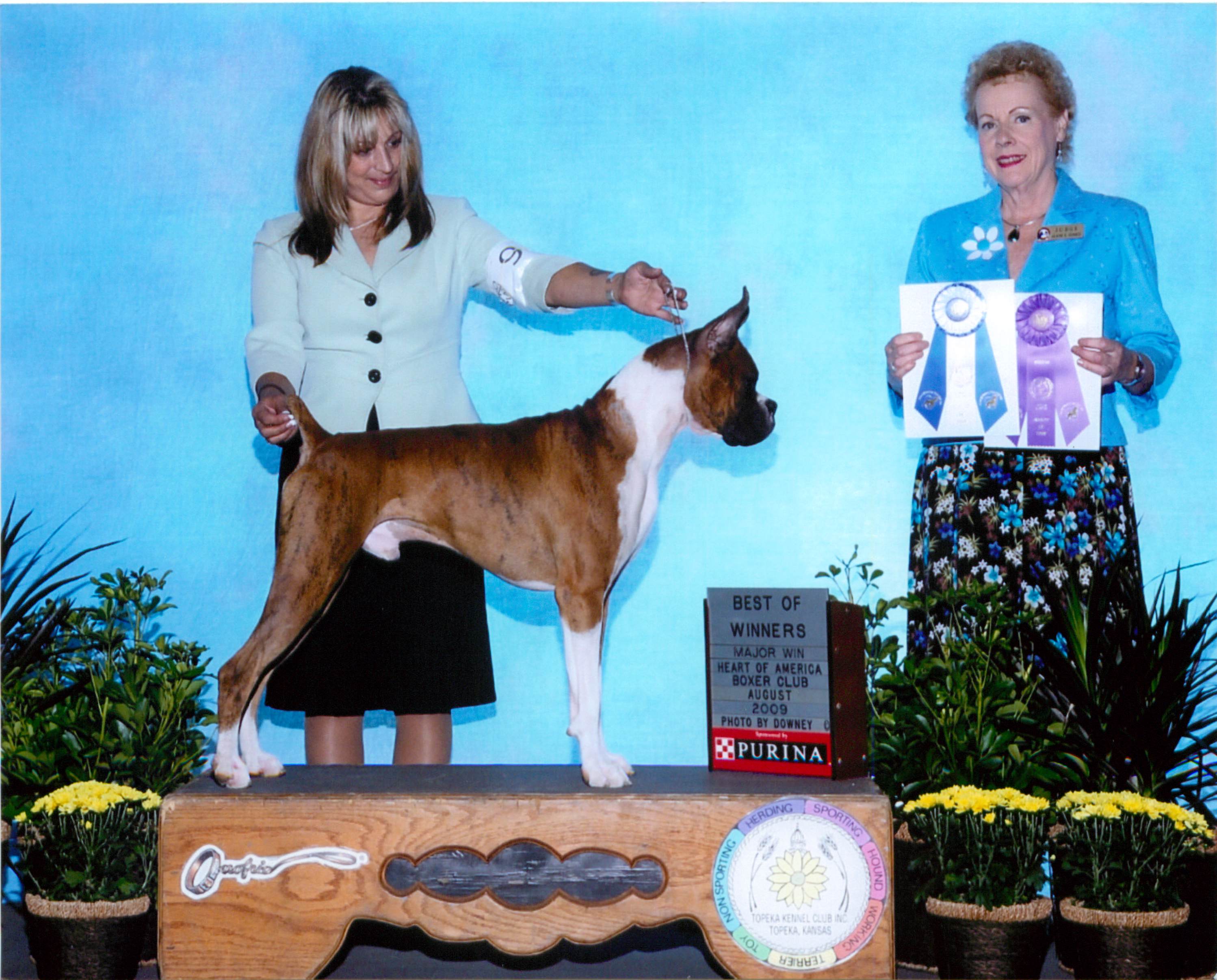 Best of Winners & Winners Dog @ 2009 Specialty Show #2
