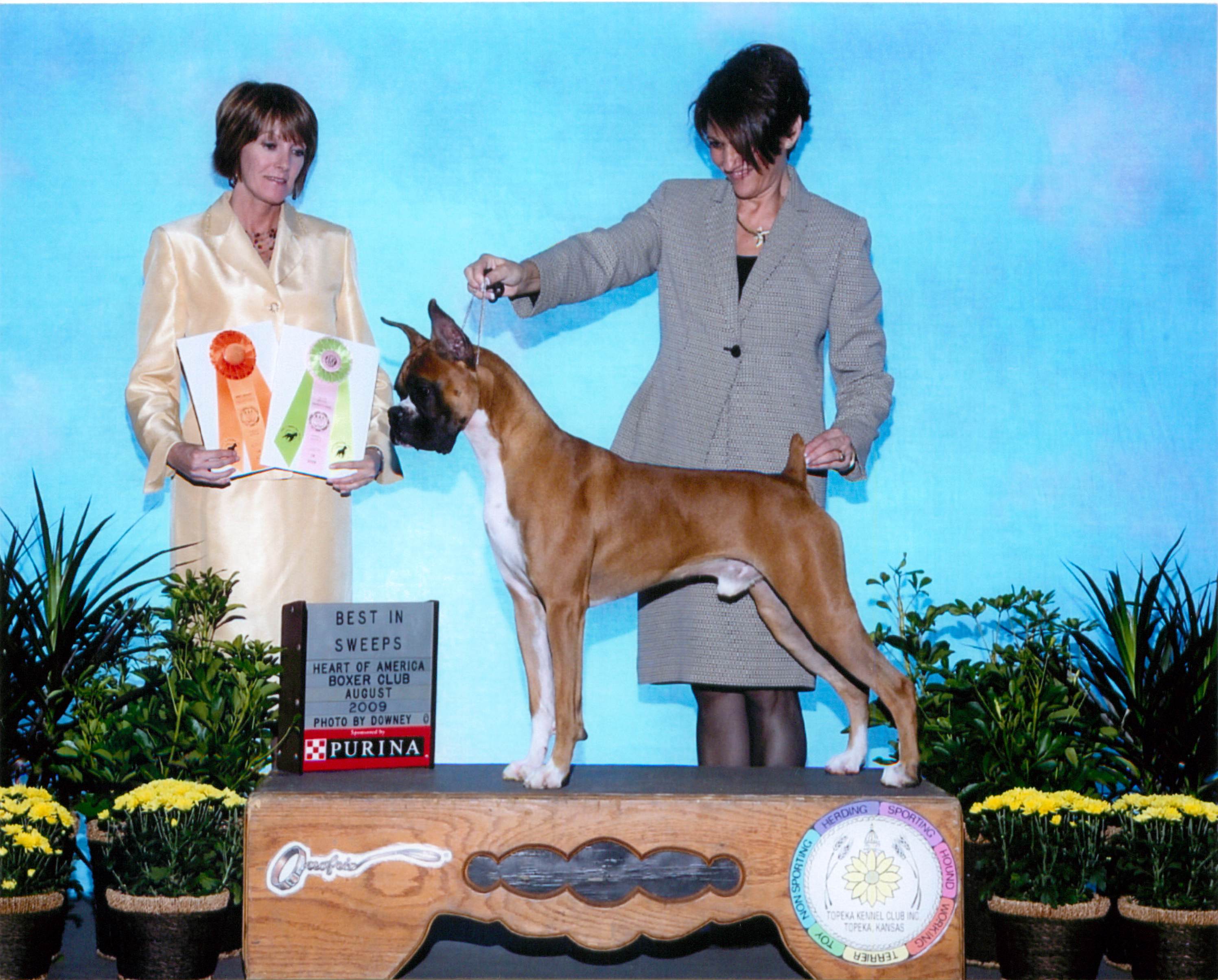 Grand Sweepstakes, Best Junior @ 2009 Specialty Show #2
