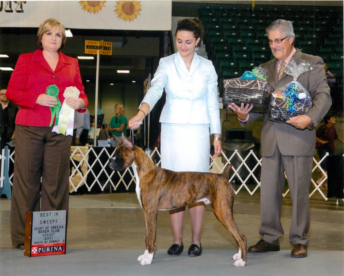 Grand Sweepstakes, Best Puppy @ 2011 Specialty Show #2