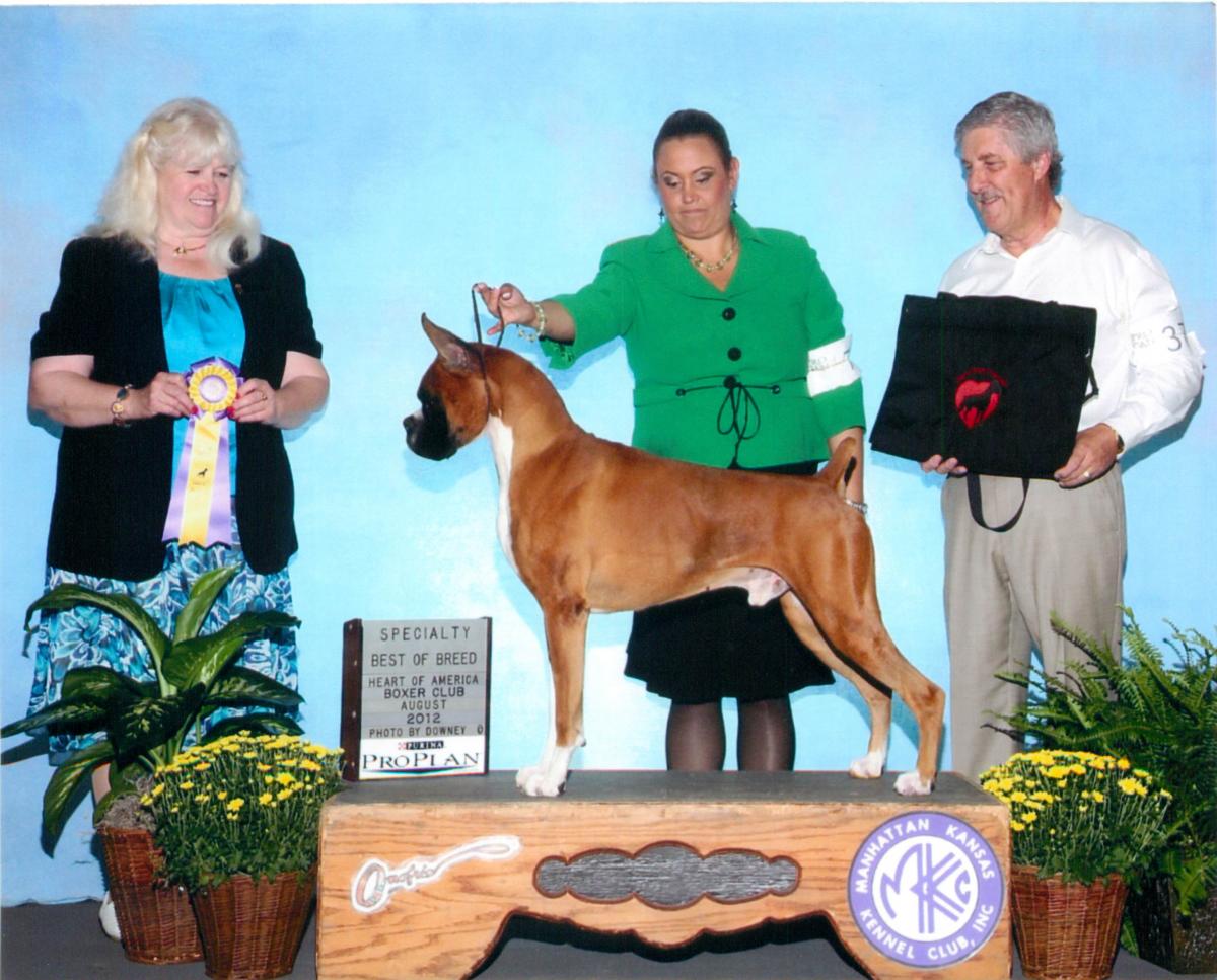 Best of Breed @ 2012 Specialty Show #2
