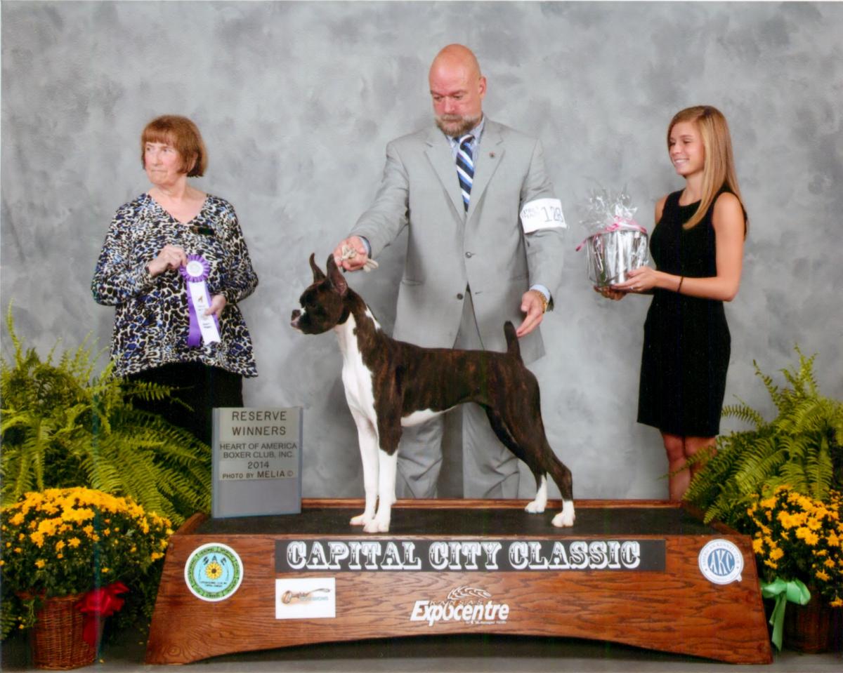 Reserve Bitch & Best Puppy @ 2014 Specialty Show #1