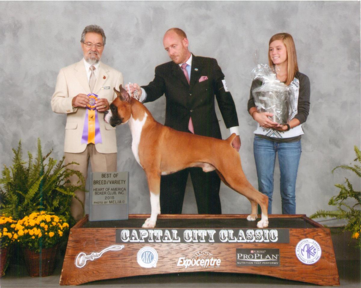 Best of Breed @ 2014 Specialty Show #1